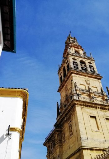 Tasador experto en parcelas y terrenos en Córdoba